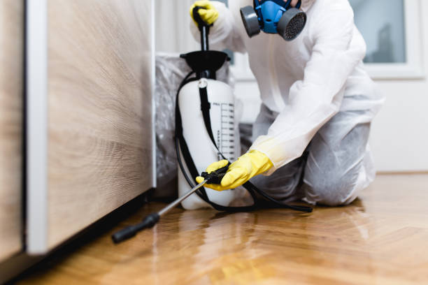 Best Pest Removal Services  in Desert Edge, CA