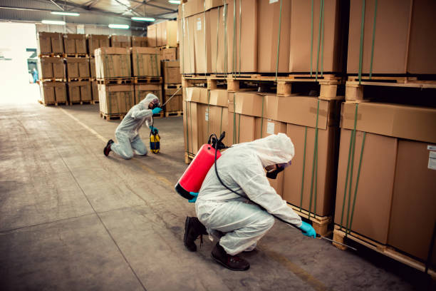 Flea Control Services in Desert Edge, CA