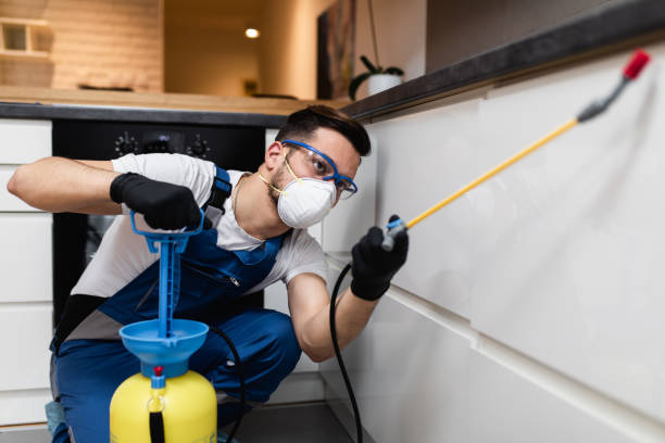 Best Pest Inspection Near Me  in Desert Edge, CA