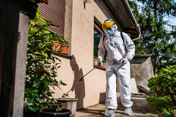 Best Best Pest Control Companies  in Desert Edge, CA