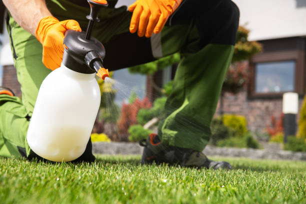 Pest Control for Restaurants in Desert Edge, CA