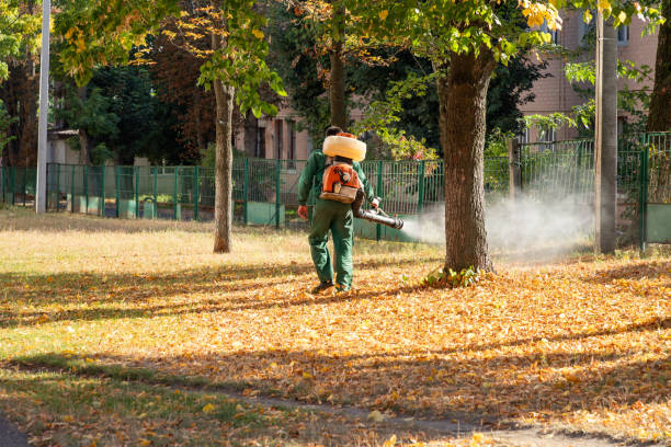 Best Local Pest Control Services  in Desert Edge, CA
