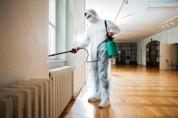 Trusted Desert Edge, CA Pest Control Experts