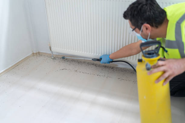 Best Affordable Pest Control Services  in Desert Edge, CA