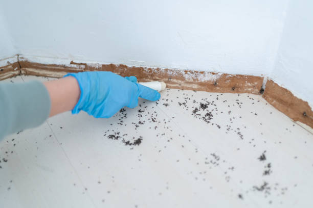 Best Pest Control Cost  in Desert Edge, CA